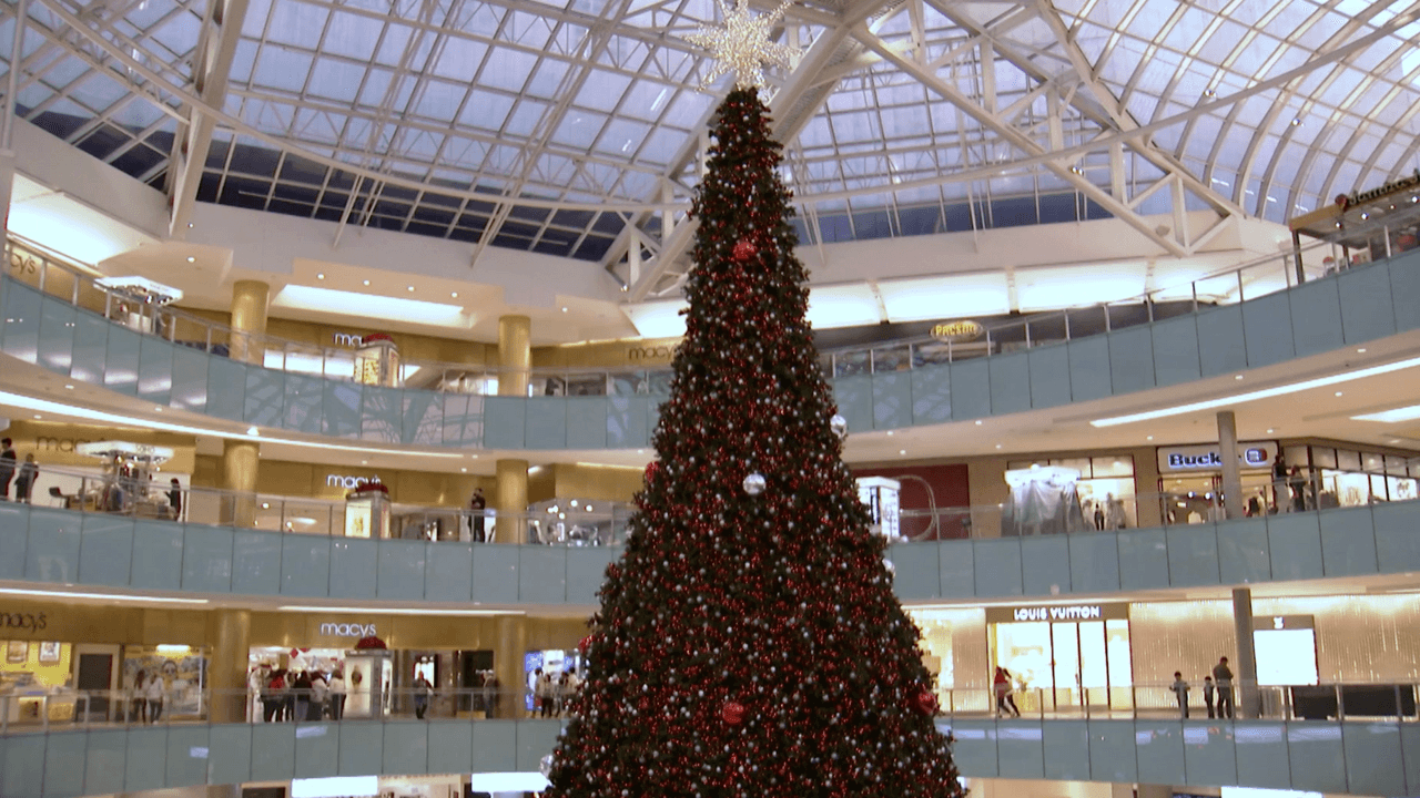 El pino mide 95 pies de altura y es uno de los más grandes de todo Estados Unidos. Este año, el pino se encendió de rojo y luces amarillas.