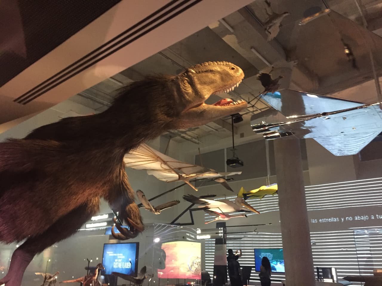 Además, en la exposición "Feathers to the Stars" (De las plumas a las estrellas), los visitantes pueden recorrer la evolución de la exploración de los cielos: de los primeros dinosaurios con plumas de hace 125 millones de años hasta la era de las naves espaciales, pasando por los aviones.
