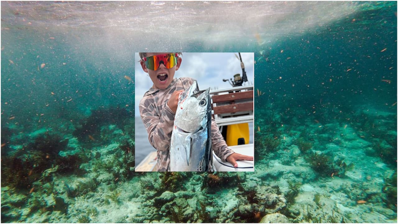 Un niño fue atacado por un tiburón en los Cayos de la Florida
