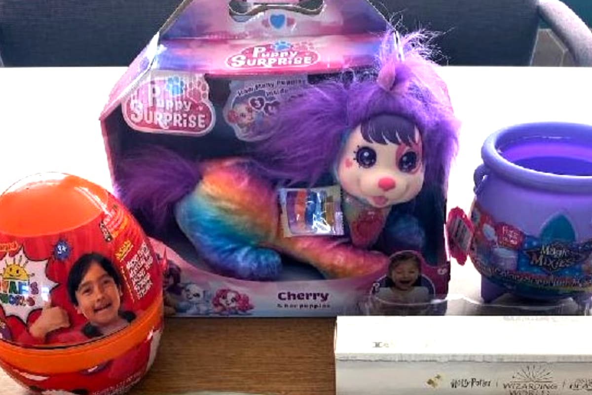 Los delincuentes transportaban las drogas dentro de juguetes infantiles para evitar se descubiertos por la policía.