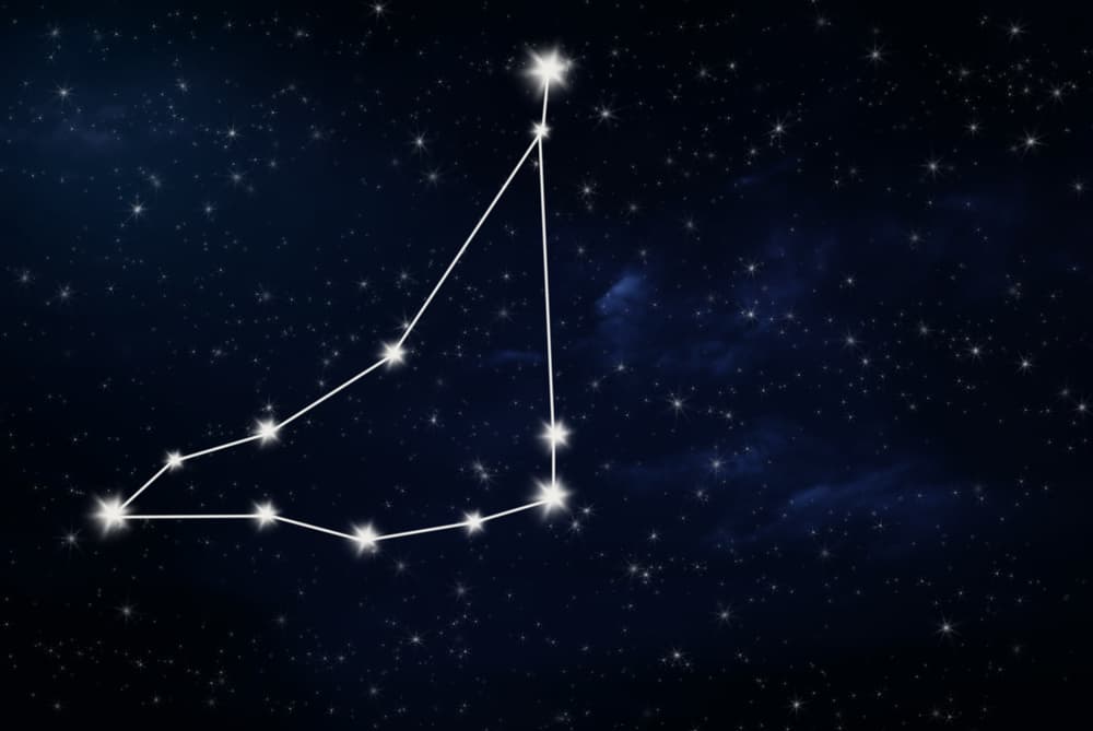 <b>CAPRICORNIO</b>
<br>Capricornio es la más pequeña de las 12 constelaciones zodiacales tradicionales y contiene 31 estrellas visibles. Los antiguos pensaron que era un animal que tenía cabeza de chivo y cola de pescado. Este representa la constante evolución, salir del agua para llegar a la Tierra, además marca un cambio importante de estaciones.
<br>