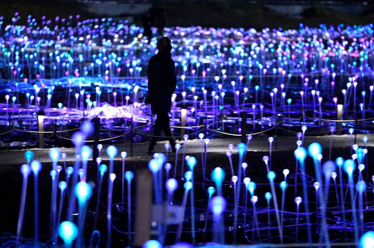 'Field of Light' tiene 18,750 bombillos, en realidad son una esferas con tallo de fibra óptica de baja luminosidad que cambian sutilmente de color.