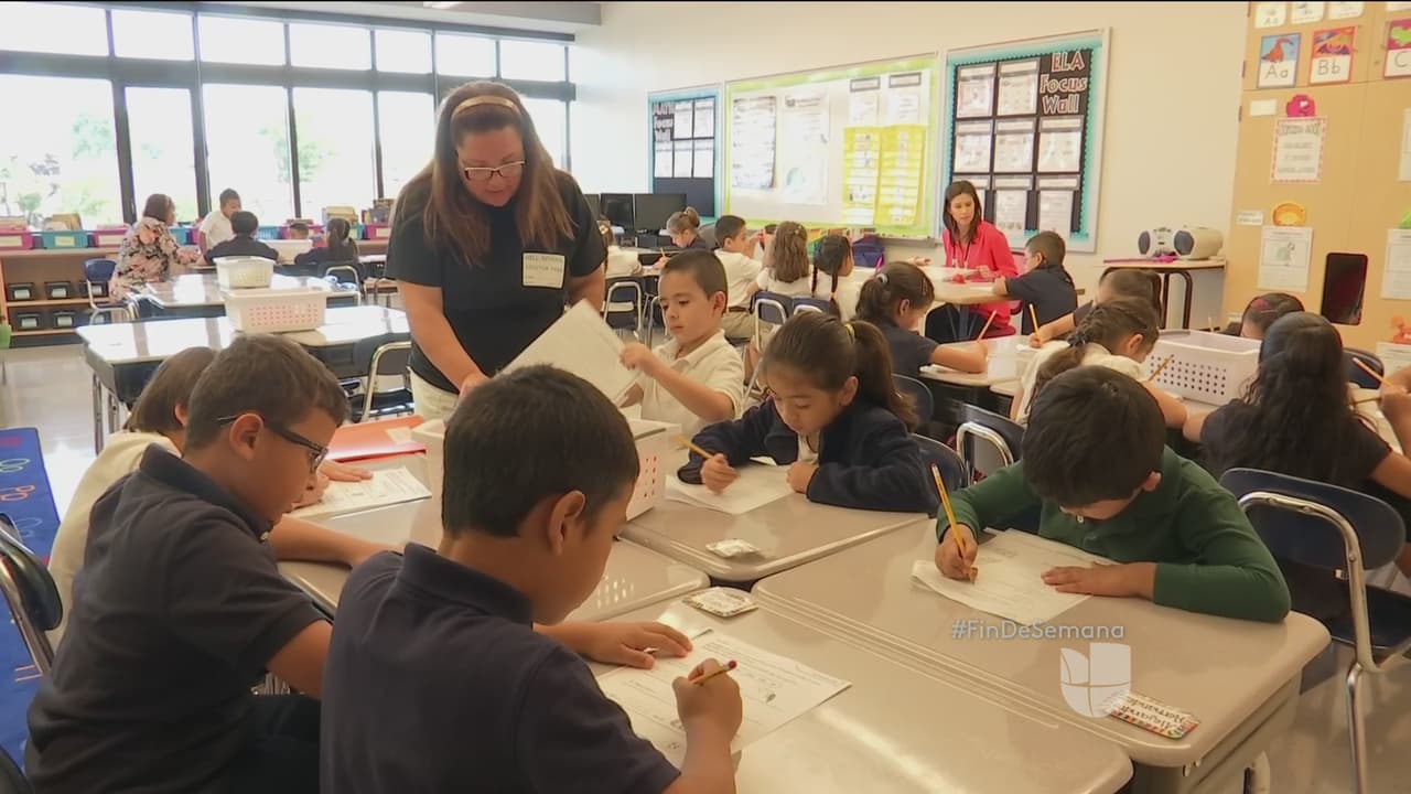 Maestros diversos para mejorar el desarrollo académico de las minorías
