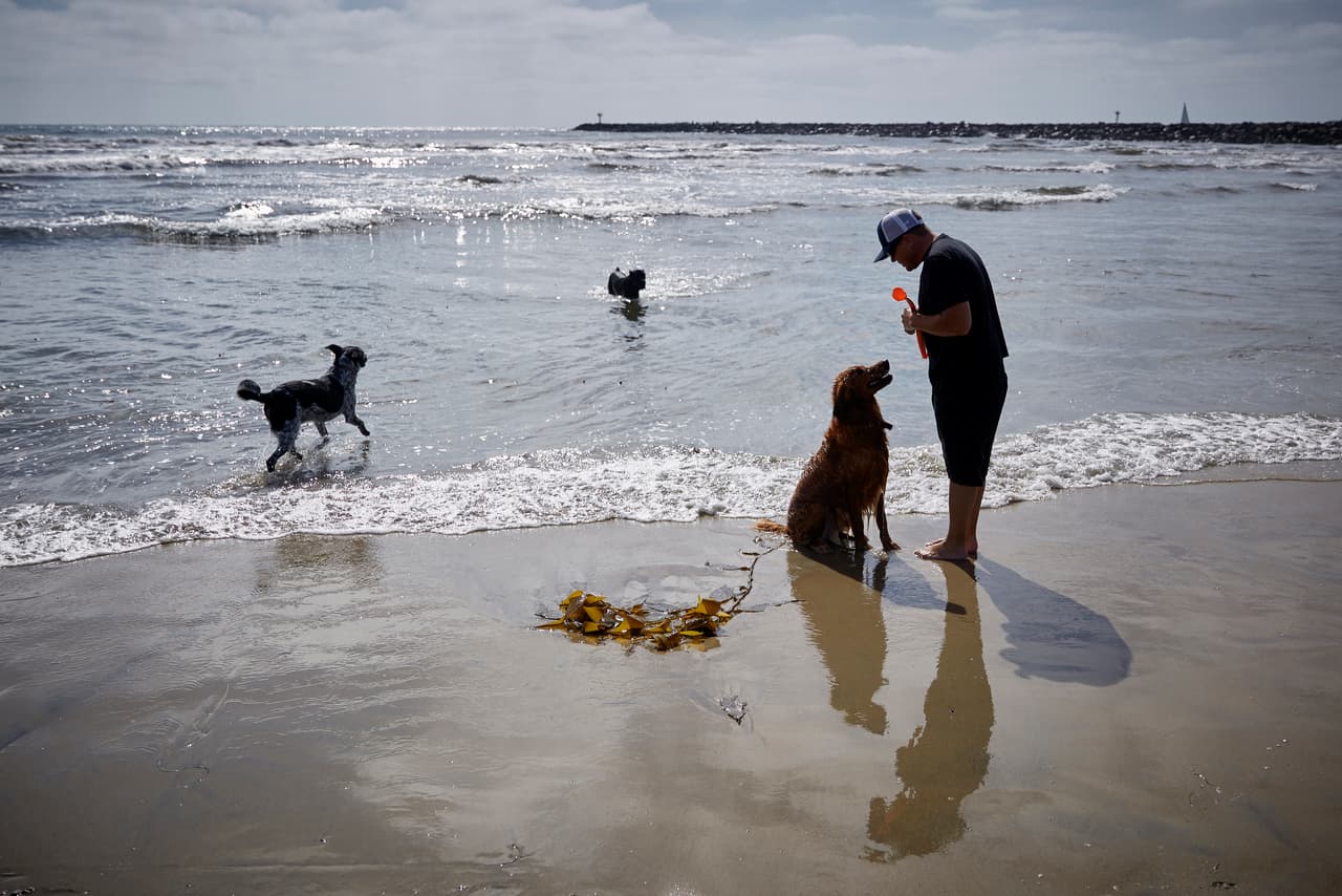 <b>San Diego.</b> En el octavo lugar está el condado de San Diego, que comparte la línea fronteriza con Tijuana y cuenta con más de 70 millas de costa. Los inquilinos deben ganar $39.77 por hora para poder pagar un alquiler a precios promedio.
<br>