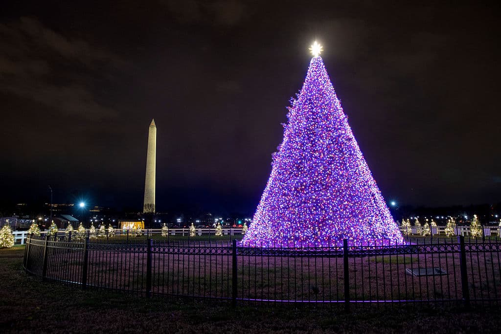 Así luce el Arbol Nacional de Navidad fuera del Ellipse park.