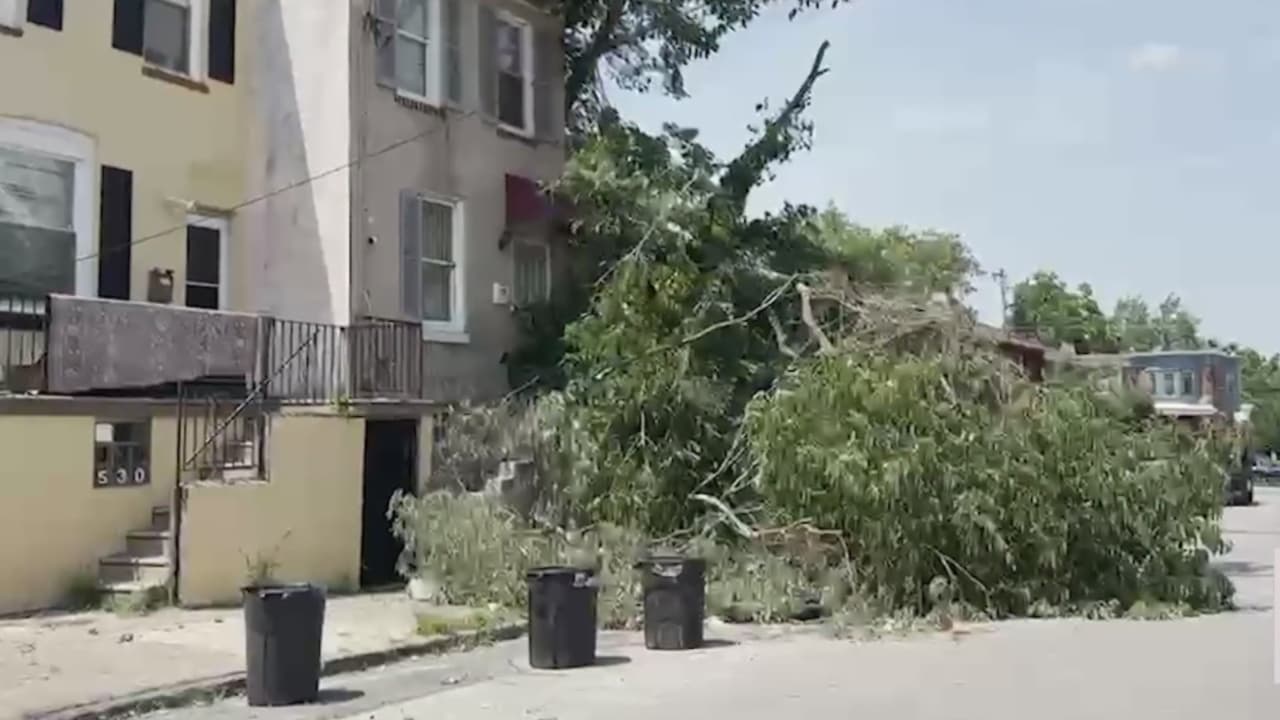 Fuertes vientos y tormenta provocan daños al oeste de Filadelfia; Continuan las labores de limpieza
