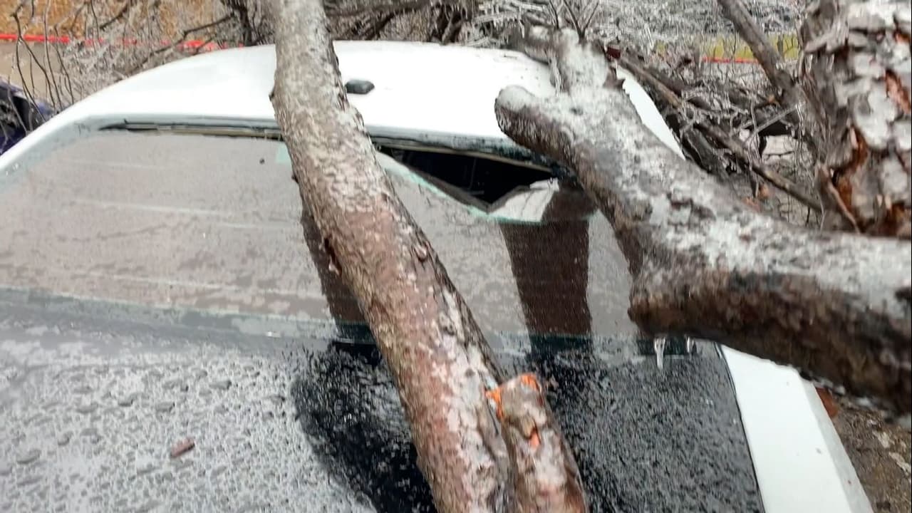 Algunos residente de un complejo de apartamentos en San Antonio despertaron con sus coches destrozados.