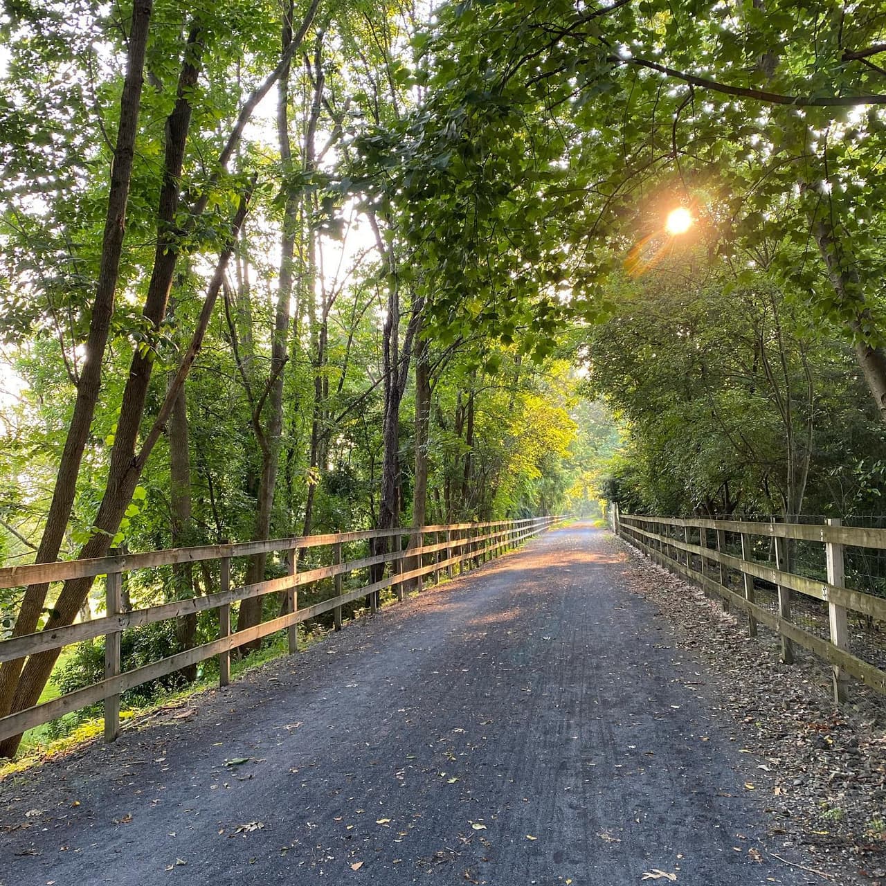 <b><a href="http://sauconrailtrail.org/">Número 8: Saucon Rail Trail</a></b>. Antes de que Saucon Rail Trail se convirtiera en lo que es hoy, un hermoso sendero de 5 millas, era un ferrocarril llamado North Pennsylvania Railroad (N.P.R.R.). A través de los años, el nombre del ferrocarril se transformó, fusionó, consolidó y transfirió a través de muchas empresas ferroviarias.