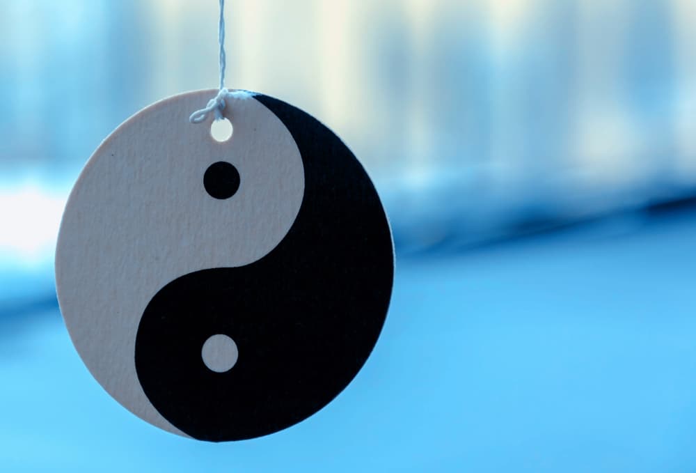 Así el fenómeno yang es un proceso activo, positivo, de acción, movimiento, agresivo, mientras el yin es todo lo contrario, es pasivo, negativo, de pasividad, receptor, quietud.