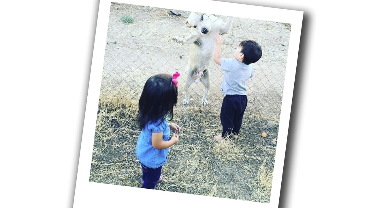 El chiquillo ya tiene amiguitas de juego.