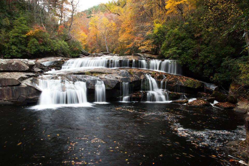 <a href="https://www.univision.com/local/north-carolina-wuvc/mejores-parques-para-visitar-en-carolina-del-norte-durante-la-primavera-2023-fotos"><b>Relacionado: Estos son los mejores parques para visitar en Carolina del Norte durante la primavera 2023</b></a>