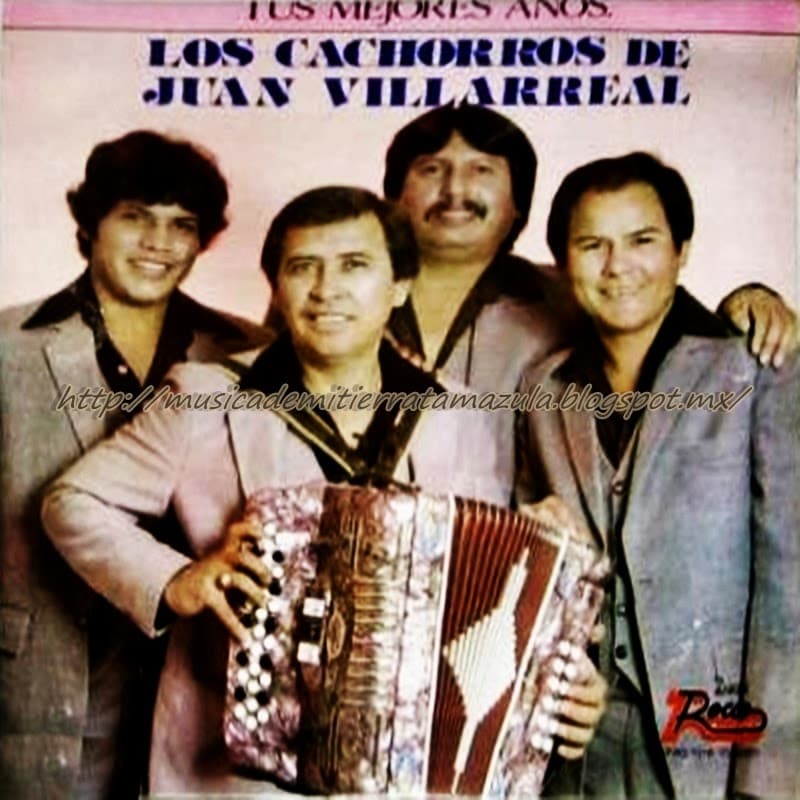 En el año de 1962, Juan y José María Villarreal originarios de Nuevo Progreso, Tamaulipas, salieron de su tierra para cantar música norteña en los bares y cantinas, pero su talento no pasó desapercibido y en 1965 son lanzados como 'Los Cachorros Hermanos Villarreal'.