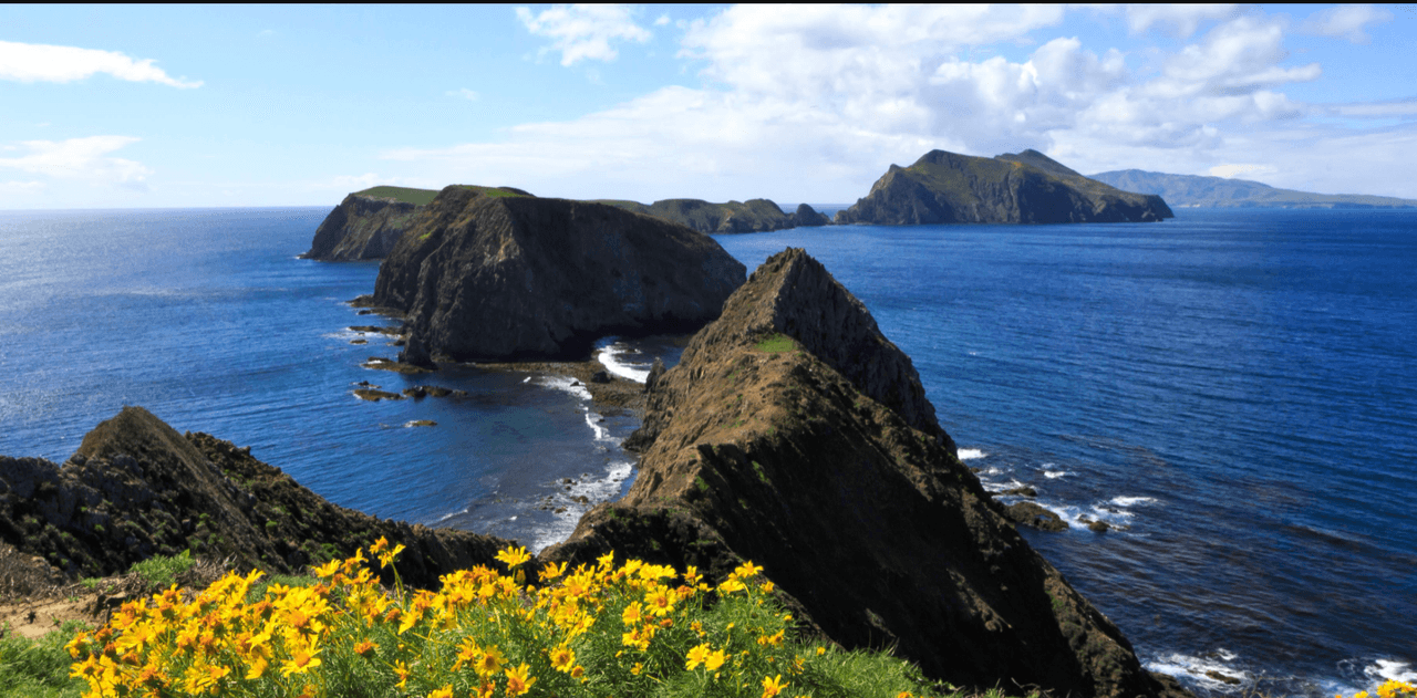 <b><a href="https://www.nps.gov/chis/planyourvisit/basicinfo.htm" target="_blank">Channel Islands National Park </a></b>
<br>El parque en las costas de Ventura, al sur de California, ofrece aventura y diversión. Puedes recorrer las caminerías de las islas, disfrutar de un buen chapuzón o nadar con los leones marinos.