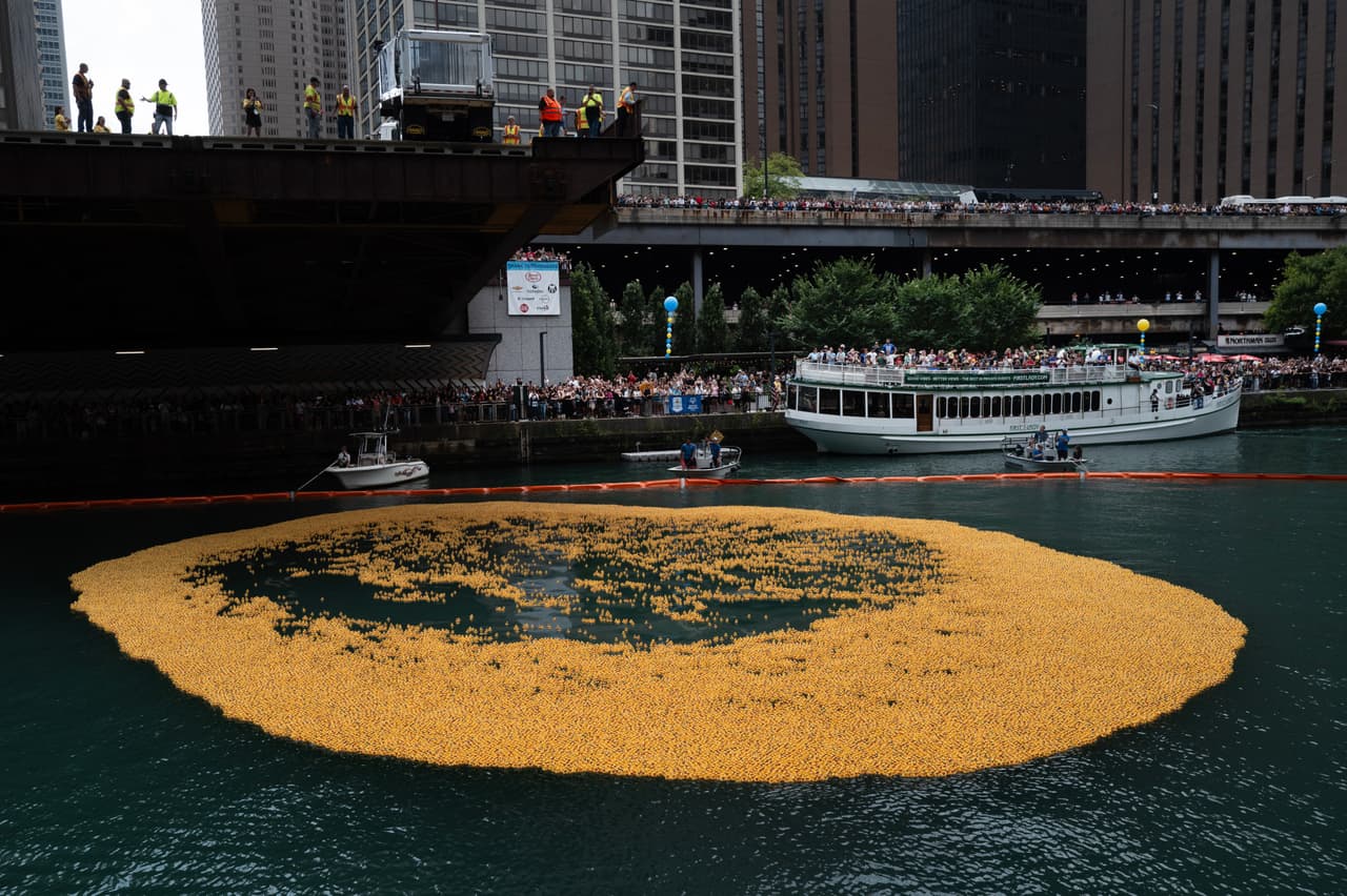 Familias enteras asisten para ver a los patitos y disfrutar de un día agradable juntos.
<b>El evento dura 30 minutos</b> y es abierto a todo público.
<br>
