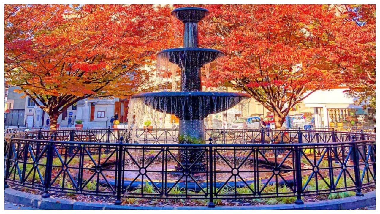 En ciudad de Nueva York, el atractivo paisaje hace que personas de todas partes del mundo acudan a disfrutarlo, y saquen hermosas fotos, que luego comparten en sus redes sociales.
<br>
<br>