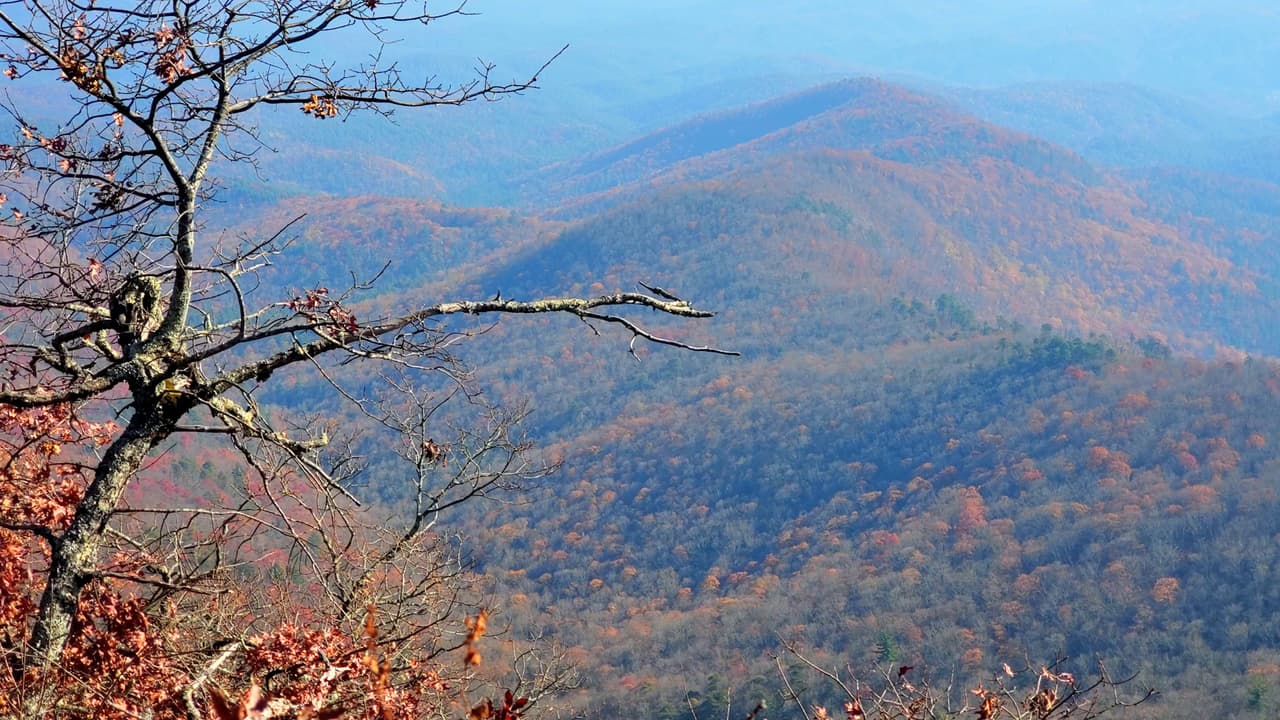 Encuentra más destinos e información local, 
<a href="https://www.univision.com/local/atlanta-wuvg/localisimo"><b>aquí</b></a>.