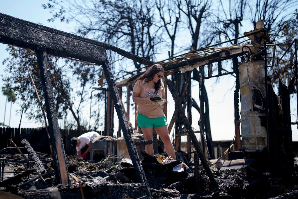 Un día después, la madre de familia 
<b>Erika Hernández </b>intentaba hallar explicación a lo ocurrido mientras recorría los escombros de lo que hasta el lunes llamó su hogar. Su dolor más grande, dijo, fue 
<b>haber perdido a sus perros en el incendio</b>.