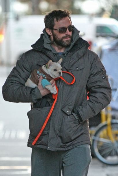 Otro famoso que adora y trata como rey a su bulldog 'Dali' es el actor australiano Hugh Jackman. ¡Qué tiernos!