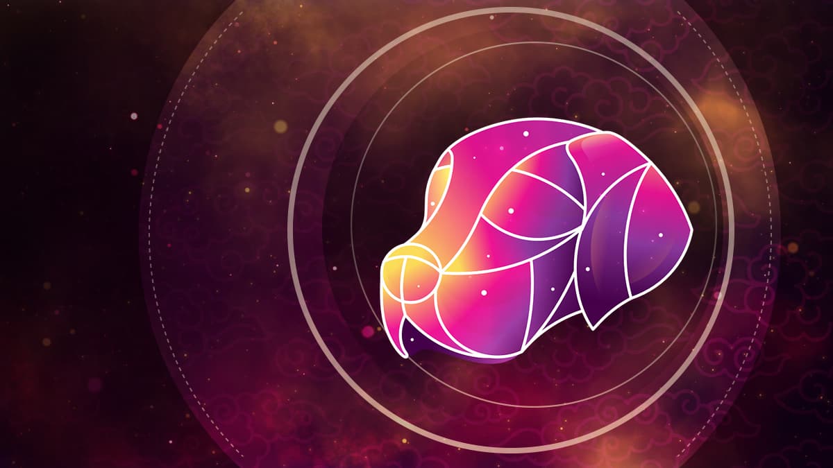 El mes del Perro en el horóscopo chino se extiende desde el 22/23 de septiembre hasta el 22/23 de octubre cuando comienza el mes del Jabalí. El Perro coincide con el signo zodiacal Libra, aunque no necesariamente implica que todos los nativos de Libra sean del signo chino del Perro o todos los de ese signo, sean libranos, ya que no son equivalentes, aunque podría ser así si coincidieren la fecha y año de nacimiento.
<br>