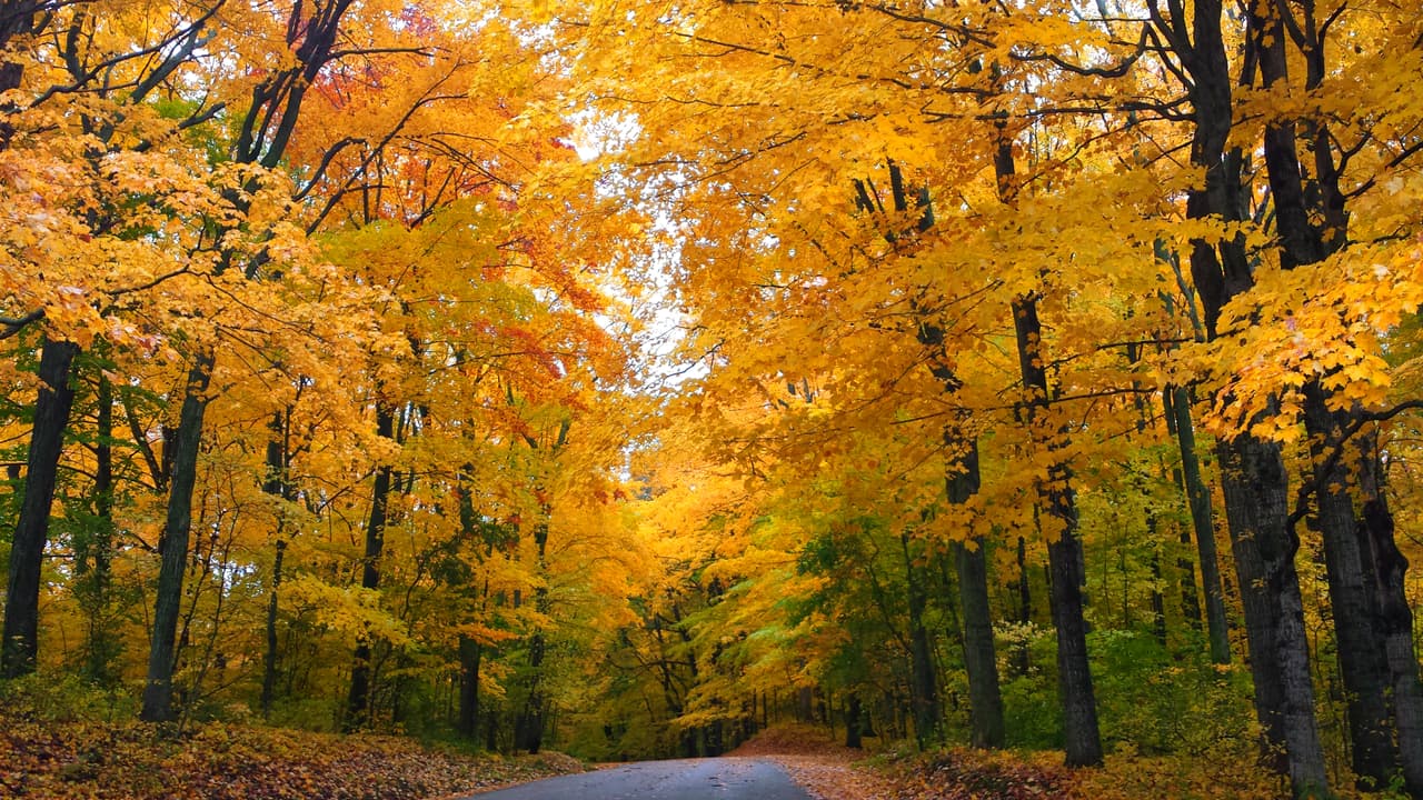 <b>Puesto 11 (dos ciudades empatadas)</b>
<br>
<br>
<b>Mequon, Wisconsin</b>
<br>
<br>
<i>Credit score</i> promedio de sus residentes: 780 puntos.
<br>
<br>Para que este puntaje sea considerado “excelente
<br> debe estar entre 740 y 850. Según credit.org, este número podría afectar hasta la verificación de antecedentes para algunos empleos.