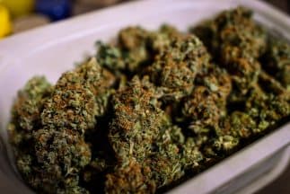 La dosis mínima y el grado de concentración serán temas que le corresponderán al Gobierno.