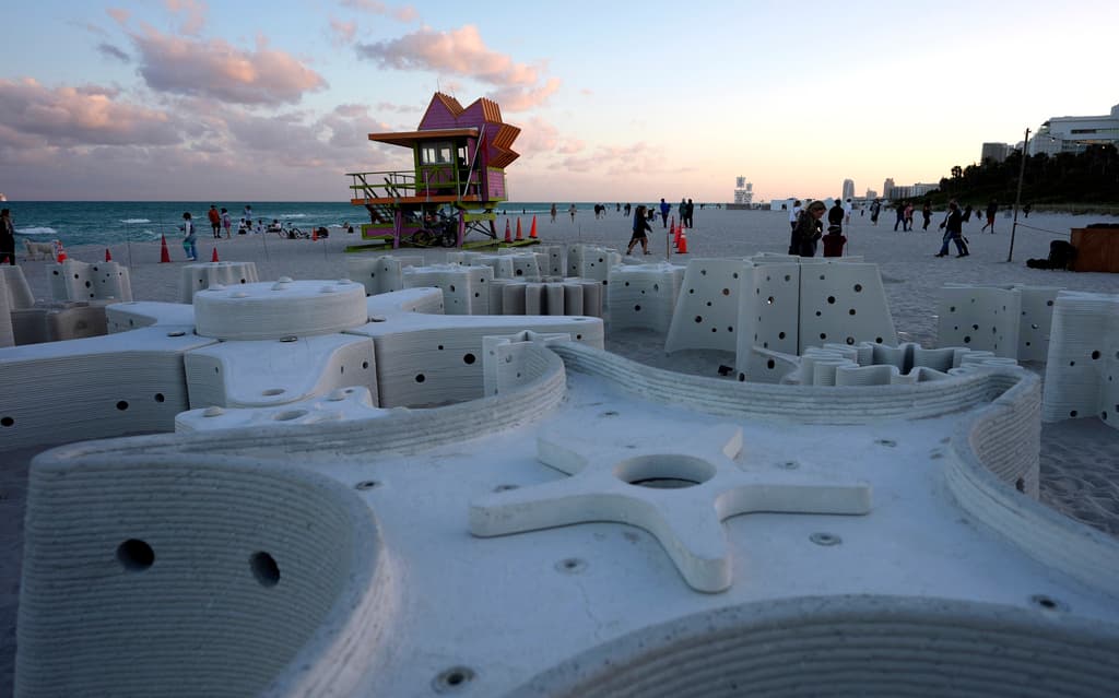 "Miami Reef Star" es otra obra que se exhibe en Miami Beach hasta el 8 de diciembre.