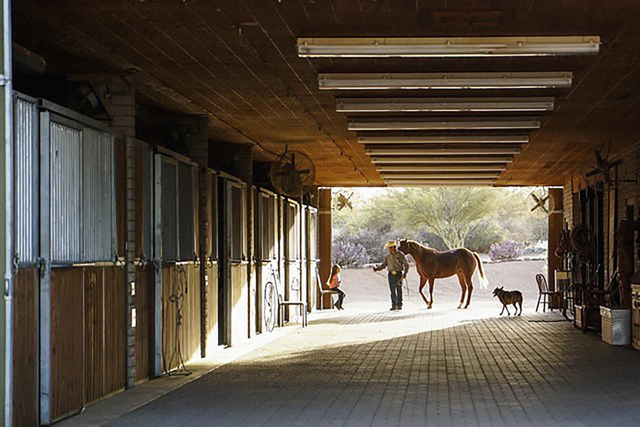 <b>La mística del oeste.</b> Enclavada en el desierto entre Arizona y Montana, esta propiedad se compone de dos haciendas al estilo del viejo oeste, una para caballos y otra de ganado. Su diseño equilibra lo tradicional con lo moderno y tiene nueve cuartos y 15 baños. 
<a href="https://www.christiesrealestate.com/sales/detail/170-l-78212-1808121730221101/the-mystique-of-the-west-arizona-and-montana-scottsdale-az-85262"><u>Está valorada en 50 millones de dólares</u></a>.
<br>