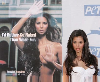 Roselyn SanchezLa sensual puertorriqueña fue la primer latina en aparecer en la campaña "Prefiero estar desnuda que usar pieles" de PETA tras conocer cómo trabaja la industria de la piel. "Los animales son electrocutados, los ahogan, es una locura que los seres humanos se tomen la libertad de matar con el propósito de lucir bien", afirma la actriz.