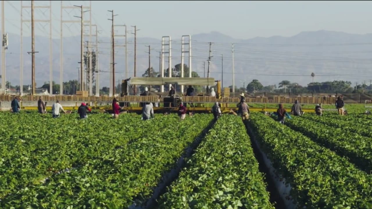 "Viene fuerte": campesinos en el sur de California están preocupados por la llegada de 'El Niño'