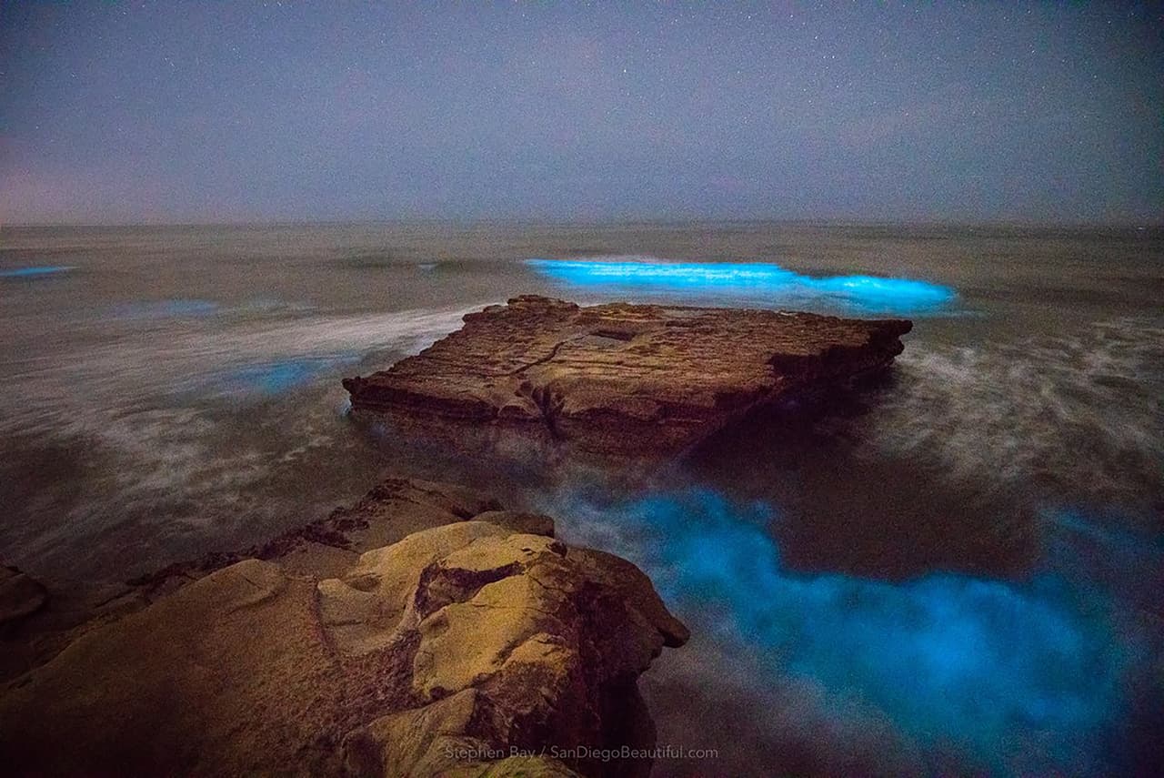 Durante el día las algas se ven como un manto de tono rojizo, pero una vez entrada la noche el espectáculo azul deslumbra a los afortunados testigos.
