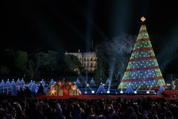 Por primera vez el árbol estuvo rodeado de pequeños árboles cuya iluminación decorativa fue diseñada por niñas de todo el país.