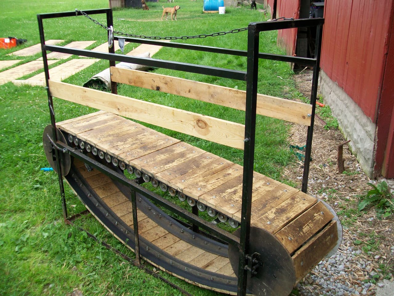 Para incrementar su resistencia también los ponen a ejercitarse en caminadoras eléctricas y mecánicas, como la que se observa en la imagen.