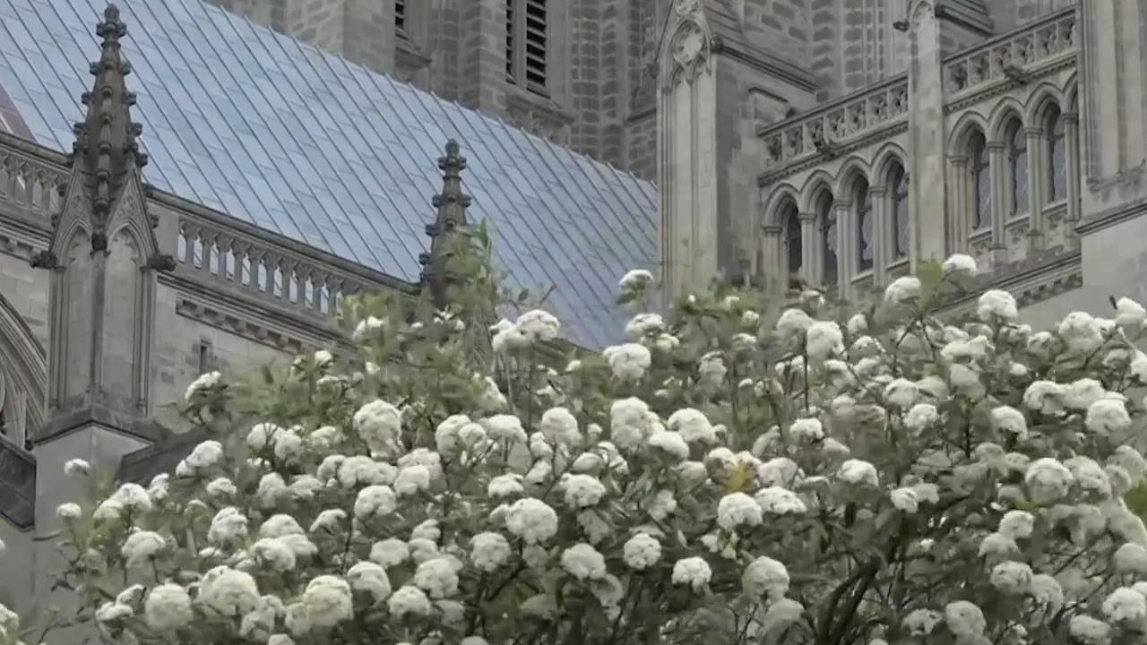 Campanas de la Catedral Nacional repican 1,000 veces por muertos por covid-19