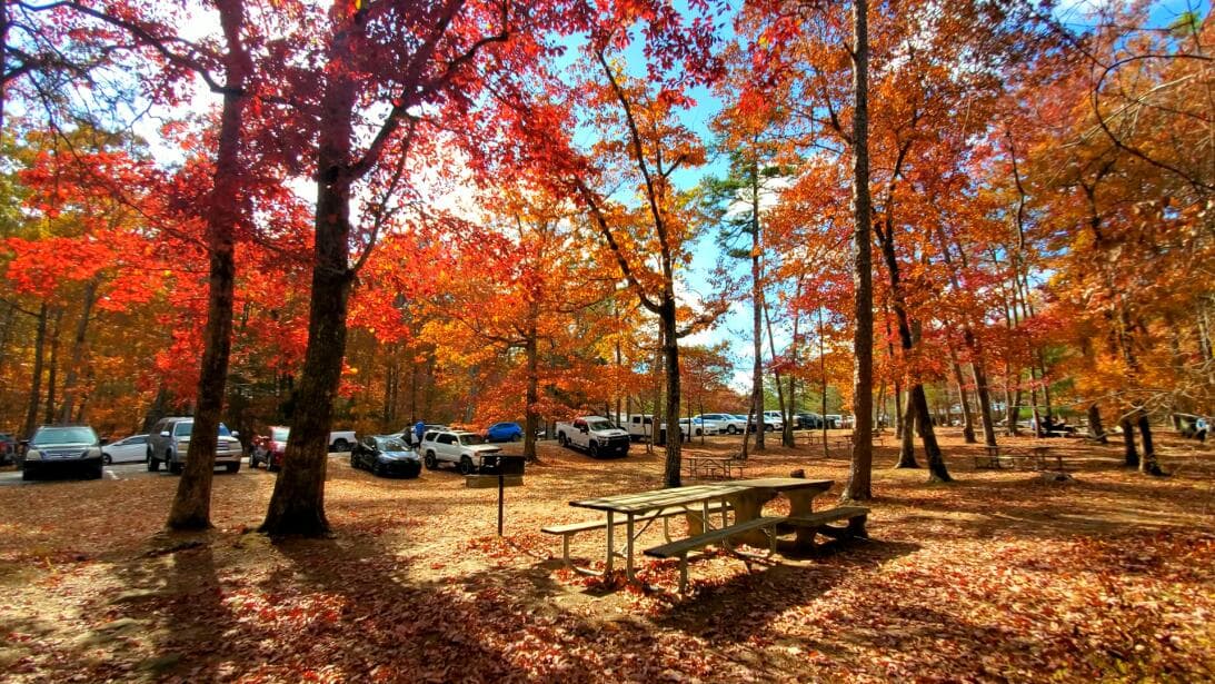 Conoce más sobre Cloudland Canyon State Park, 
<b><a href="https://www.univision.com/local/atlanta-wuvg/localisimo/cloudland-canyon-state-park-despedir-otono-2023-georgia-fotos">aquí</a></b>.