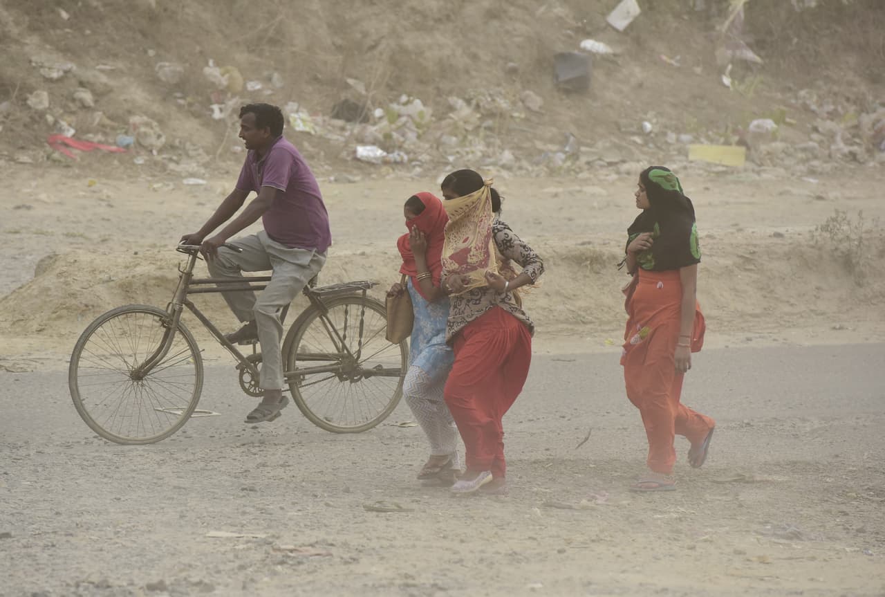 También los animales sufrieron con este brutal temporal. Al menos 160 animales murieron en las tormentas, de acuerdo con funcionarios en Uttar Pradesh, es posible que el número aumente conforme pasen las horas.