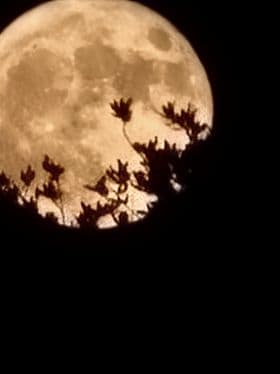 María Gómez tomó esta fotografía en Fort Worth.