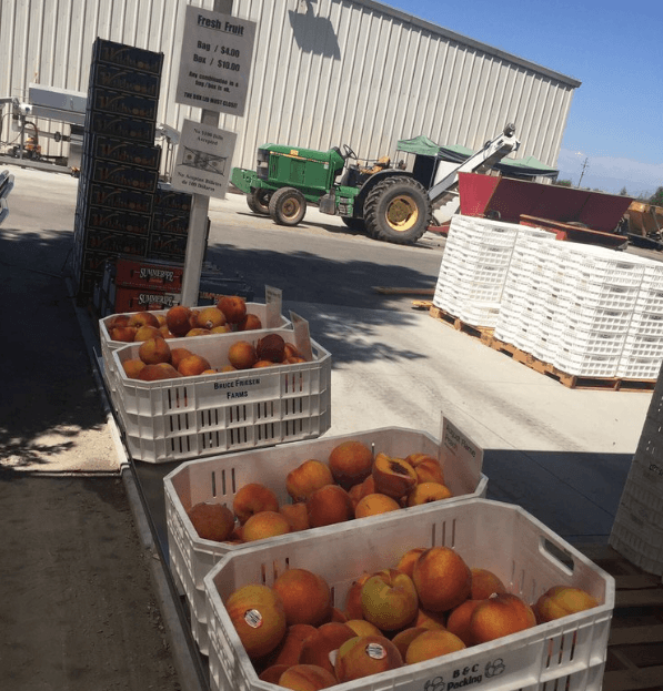 Organizadores del Blossom Trail del condado de Fresno también recomiendan detenerse en el stand de venta de frutas, donde de seguro puedes degustar fruta fresca de la estación.
<a href="https://www.google.com/maps/dir/Kingsburg,+California+93631/36.5686503,-119.5479045/36.5686746,-119.4851947/36.6045246,-119.4844511/36.6040066,-119.3949285/36.6546306,-119.3946644/36.6549358,-119.4486045/36.7200588,-119.448418/36.7201918,-119.4573364/36.7336274,-119.4990245/36.7504256,-119.4974884/36.7501334,-119.5560892/36.707851,-119.55623/36.7067416,-119.5921237/36.6921904,-119.5923103/36.6928226,-119.6820263/36.7074347,-119.682058/36.7075369,-119.7000586/36.6783126,-119.6998299/36.6344228,-119.6106162/36.6340183,-119.5475962/36.5686497,-119.5478798/@36.608056,-119.6016473,11z/data=!4m29!4m28!1m5!1m1!1s0x8094e43229d0e38b:0x62755c715a997697!2m2!1d-119.5540175!2d36.5138398!1m0!1m0!1m0!1m0!1m0!1m0!1m0!1m0!1m0!1m0!1m0!1m0!1m0!1m0!1m0!1m0!1m0!1m0!1m0!1m0!1m0!3e0" target="_blank">Este es un mapa</a> donde puedes ver otros paradas recomendadas de la ruta.