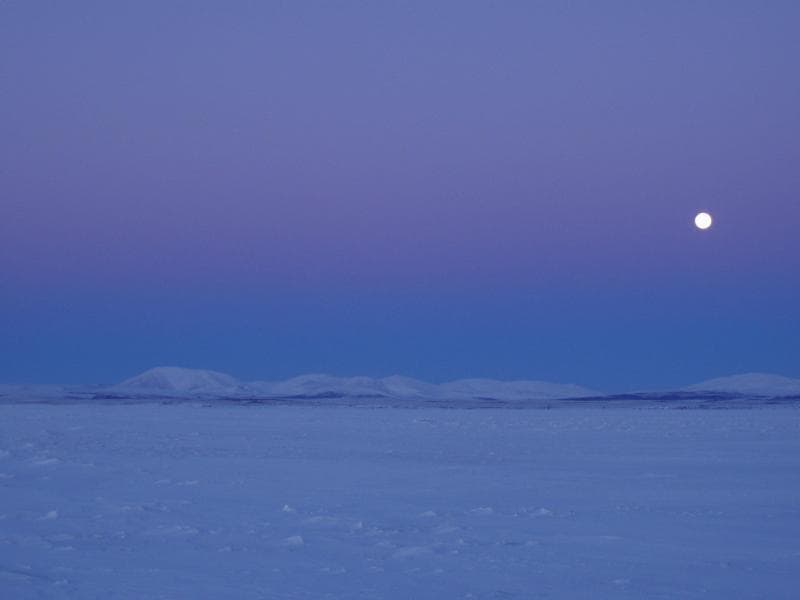 El
<b> Monumento Nacional de Cabo Krusenstern</b> es uno de los tesoros más remotos de Estados Unidos. Se ubica al norte del Círculo Ártico y se extiende por 70 millas (113 km) de la costa del Mar Chukchi. Los arrecifes de la playa son prueba de 5,000 años de actividad humana.