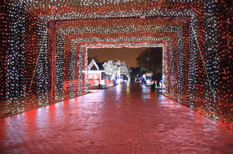 <b>Tour of Lights</b>. El paseo en auto 
<a href="https://discoverfarmersbranch.com/events/events-festivals/christmas-in-the-branch/#1502982814755-7adbb013-4a1e69b5-7529">promete encantarte con medio millón de lucecitas</a>. El espectáculo arranca el 24 de noviembre y se extiende hasta el 30 de diciembre (menos el 2 y el 25 de diciembre). Es gratuito pero se sugiere hacer una donación de 5 dólares. El recorrido empieza en Valley View Lane y la Interstate 35, y luego sigue en Denton Drive hasta el Farmers Branch Historical Park.