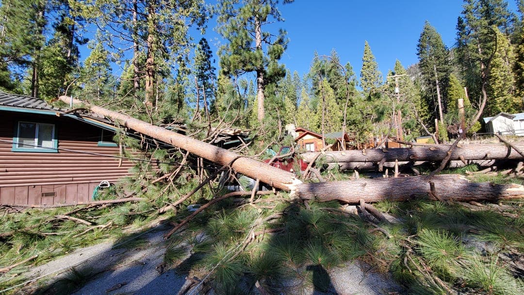 Se reportaron daños materiales, pero afortunadamente no hay heridos, confirmaron oficiales del Parque Yosemite.