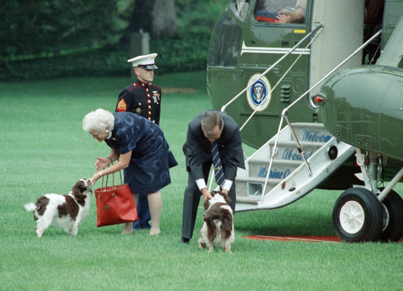 George H. W. Bush, sucesor de Reagan, tuvo dos perros de raza
<i>English Springer Spaniel</i>. Se llamaban 'Millie' y 'Ranger',
