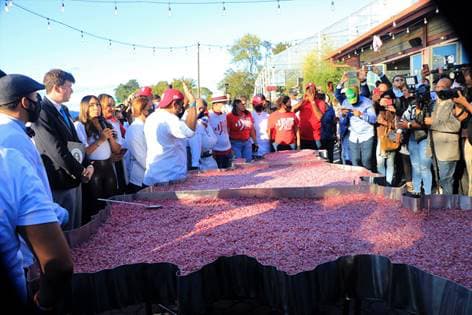 Dominicanos rompen el récord por el mangú más grande del mundo
<br>