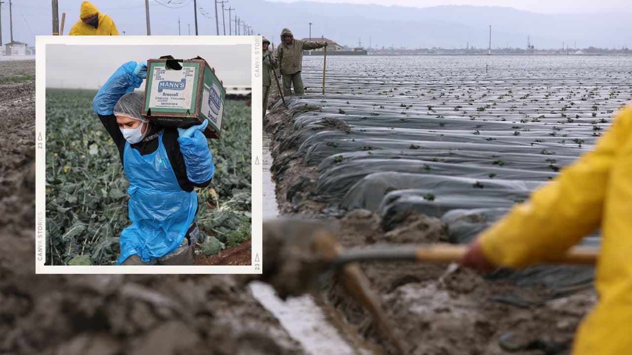 "El agua podría quedarse por meses": ¿Cómo afectan las inundaciones a los campesinos hispanos de Kings?