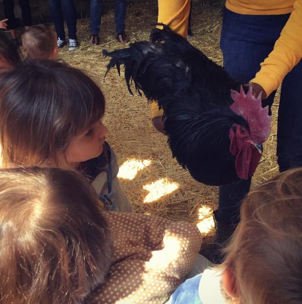 Ha llevado a Mila y Galo a que convivan con los animales, como en esta foto donde se les ve con gallos.