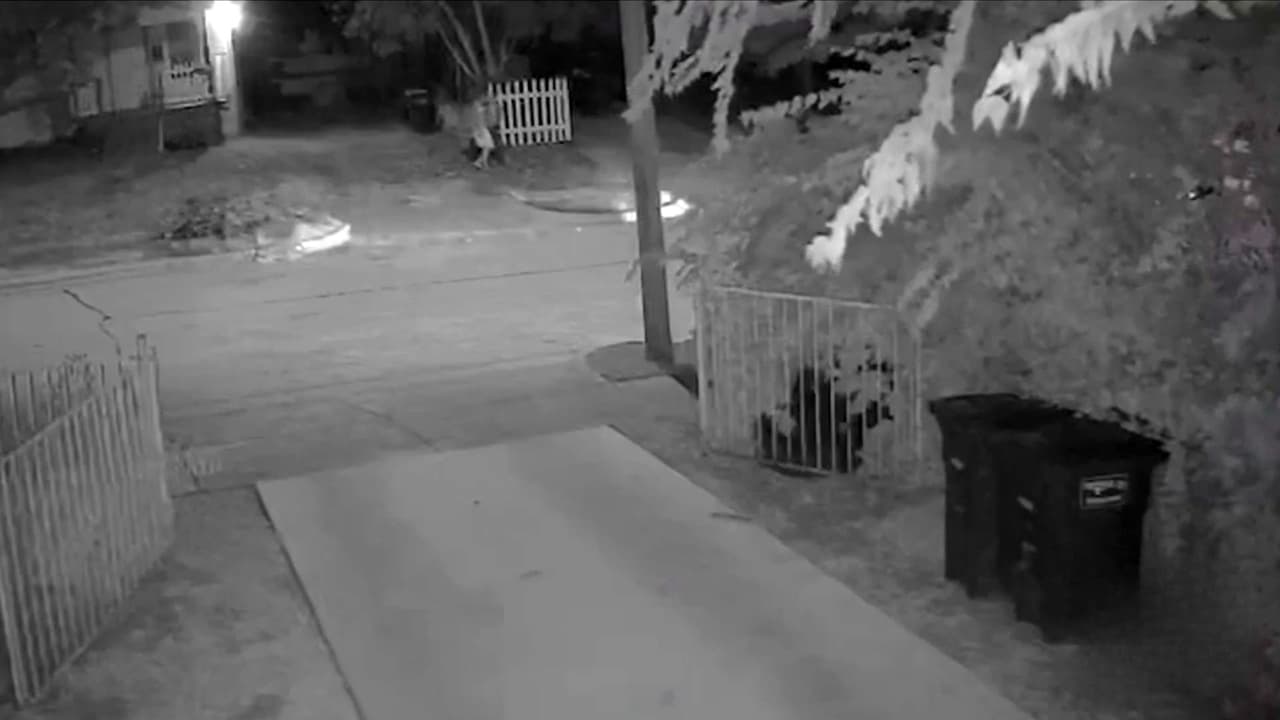 Vecino mata a hombre con machete tras intentar salvar a una mujer en Fort Worth