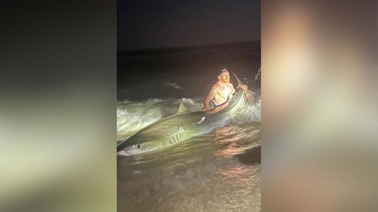 También Christian Haltermann, de Kyle, Texas, 
<b><a href="https://www.univision.com/local/houston-kxln/pescador-encuentra-mega-pejelagarto-negro-pantano-texas" target="_blank">atrapó a un tiburón tigre</a></b> de 12.5 pies en la Costa Nacional de la Isla del Padre, cuando pescaba con su hijo.