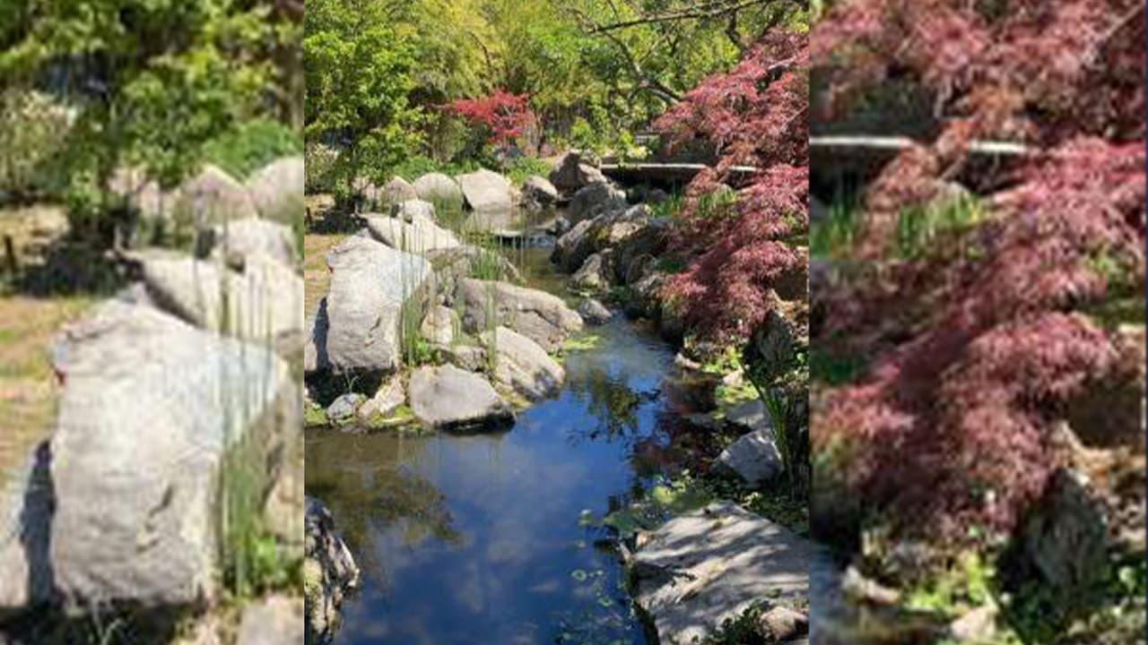 El Jardín Japonés está abierto de miercoles a domingo de 10 am a 7 pm, y está ubicado en 114 E Audubon Dr, Fresno, dentro del parque Woodward. 
<br>