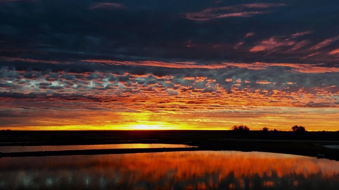 La demanda reclama que se hagan públicos todos los registros sobre los refugios nacionales en los que se mencionan muros, vallas, cercas o barreras, tanto en correos electrónicos como en notas de reuniones, presentaciones, mapas y correspondencia.
<br>
<br>En la imagen, el amanecer en un estanque de cultivo de peces en el Centro de Recuperación de Recursos Acuáticos Nativos del Suroeste en Dexter, Nuevo México.