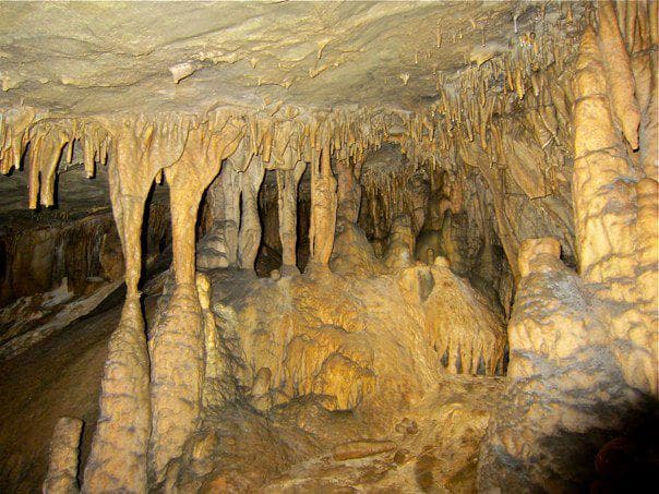 <b>Sitton's Cave (Condado de Dade):</b> Sitton's Cave se encuentra en el Parque Estatal Cloudland Canyon. Es una cueva fluvial con numerosas formaciones rocosas interesantes y un enorme portal de entrada que se reduce a un sendero de dos pies de altura, antes de abrirse a una gran habitación. También se sabe que es extremadamente húmedo y frío por dentro.