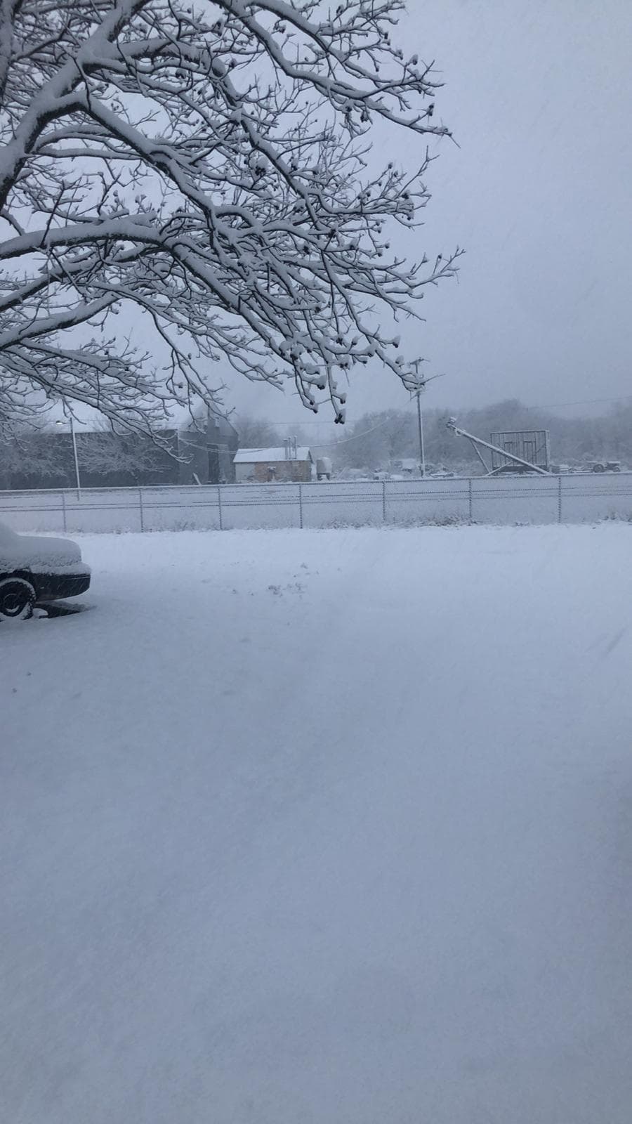 Según televidentes ha nevado desde muy temprano en la madrugada.